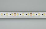 Лента RT 2-5000 12V White6000 2x (5060, 300 LED, LUX) (Arlight, 14.4 Вт/м, IP20)