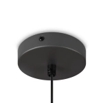Подвесной светильник Moth FR5392PL-01GR1, E27х1. TM Maytoni