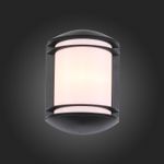 SL076.401.01 Светильник уличный настенный ST-Luce Черный/Белый E27 1*60W