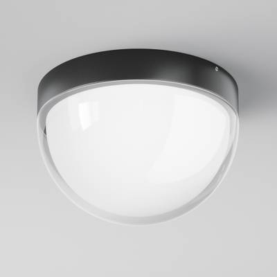 Потолочный светильник Mon 3000K 12Вт IP 65, O438CL-L12GF3K. TM Maytoni