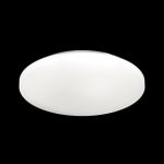 3017/CL PALE SN 218 Светильник пластик/белый LED 30Вт 4000K D350 IP43 SIMPLE