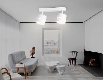 Светильник накладной TN71058/2 WH белый GX53/2 max 12W 280*85*150