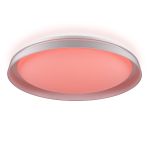 Citilux MEGA CL752450G LED RGB Светильник с пультом Белый