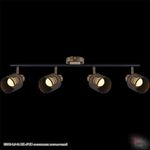 05900-0.8-04 BK+FGD светильник потолочный