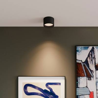 Светильник потолочный светодиодный Banti 13W 4200K черный 25123/LED