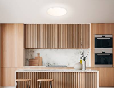 Потолочный светодиодный светильник с Wi-Fi Яндекс Алисой/Tuya/Smart Home/Alexa FZ2001 WH белый IP54 20W 3000K-6500K+RGB D300*55 (ПДУ ИК)