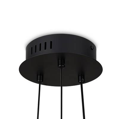 Подвесной светильник Citrus FR5398PL-L6B, LED. TM Maytoni