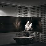 Трековый светильник Orlo Unity 4000K 5Вт 120°, TR085-1-5W4K-B. TM Maytoni