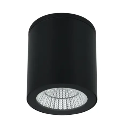 Уличный потолочный светильник Arte Lamp TORCULAR A1813PF-1BK, 1хLED