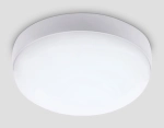 Уличный светодиодный светильник ST8633 WH белый IP65 LED 6500K 20W D170*60