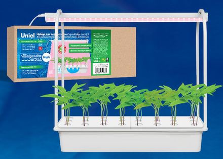 ULT-P44D-10W/SPLE IP20 AQUA SIMPLE WHITE Набор для гидропоники "Минисад AQUA SIMPLE", светильник для растений светодиодный с подставкой. Спектр для фотосинтеза. Белый. TM Uniel