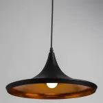 Подвесной светильник Arte Lamp CAPPELLO A3406SP-1BK, 1хE27