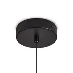 Подвесной светильник Acoustic FR5494PL-01TR, G9х1. TM Maytoni