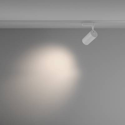 Трековый светильник Vuoro Unity 4000K 36Вт 36°, TR003-1-36W4K-M-W. TM Maytoni