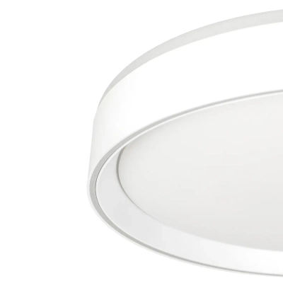 Citilux BOSS CL751350G LED RGB Светильник с пультом Белый