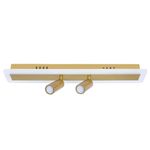 Спот Arte Lamp TOMMY A2607PL-22GO, 1хLED