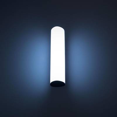Citilux CLU0007 LED Уличный светильник Графит
