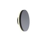 SL087.401.01 Светильник уличный настенный ST-Luce Черный кварцевый LED 1*12W 4000K