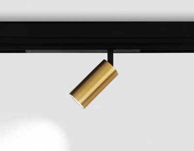 Светильник светодиодный диммируемый для шинопровода Magnetic 220V GL1213 GD золото IP20 12W 3000K-6400K 36° D45*100 (Без ПДУ)