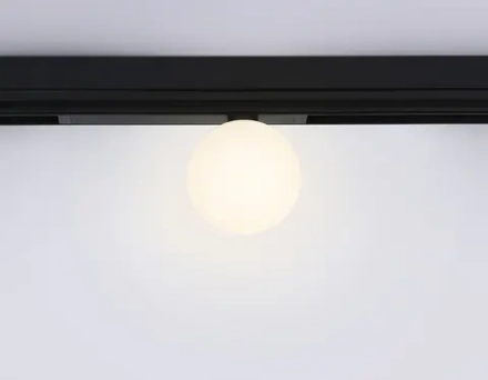 Светильник светодиодный диммируемый для шинопровода Magnetic 220V GL1371 BK черный IP20 10W 3000K-6400K 120° D120/232*120*167 (Без ПДУ)