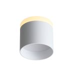 ST102.502.09 Светильник потолочный Белый LED 1*9W 3000K 702Lm Ra&gt;80 120° IP20 D79xH75 170-240V