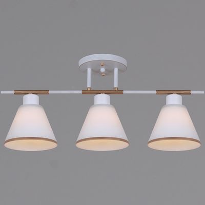 07594-0.3-03 WG светильник потолочный