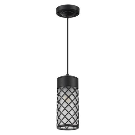 4834/1 NATURE ODL21 706 черный/стекло Ландшафтный светильник-подвес E27 1*60W IP44 DUNES