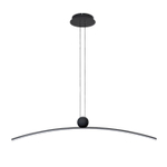 Подвесной светильник Arte Lamp ARNO A3362SP-25BK, 1хLED