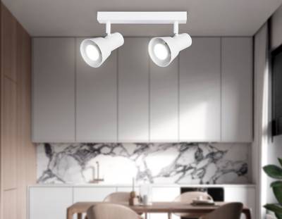 Светильник накладной TA13115/2 WH белый GU10/2 max 12W 350*85*150