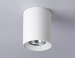 Светильник накладной TN213136 WH белый GU10 max 12W D80*100