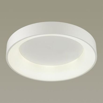 4062/50CL L-VISION ODL19 383 белый/серый Люстра потолочная с ДУ LED 50W 220V SOLE