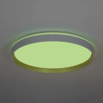 Citilux ENZO CL753510G LED RGB Светильник с пультом Белый + Золото