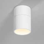 Светильник потолочный светодиодный Rolly 9W 3000K белый 25112/LED