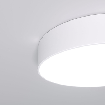Потолочный светодиодный светильник 90318/1 белый, LED