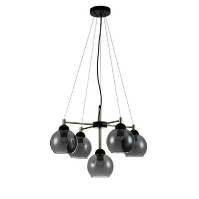 Подвесной светильник Indigo 11029/5P Black, 5хE27
