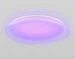 Светильник светодиодный RGB с пультом  FZ1615 FR матовый IP20 60W 3000-6500K+RGB 510*100 (ПДУ ИК)