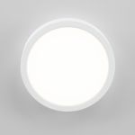 Citilux Галс CL5522N Светильник накладной светодиодный