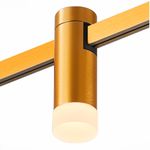 ST812.206.03 Магнитный трековый светильник FARM Золотистый LED 1*3W 3000K 93Lm Ra90 120 IP20 D29xH90 24V