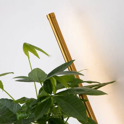 Настенный светильник Greenery 4050-2W. ТМ Favourite