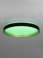 Citilux ENZO CL753451G LED RGB Светильник с пультом Черный + Золото