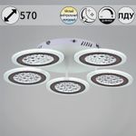 20491-0.3-05 WT светильник потолочный