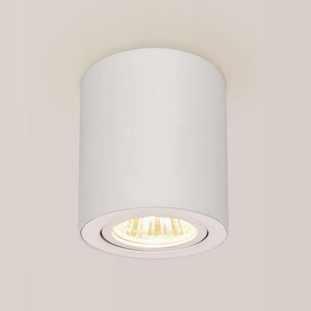Citilux Дюрен CL538111 Светильник накладной поворотный Белый
