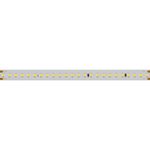 Светодиодная лента IC 2-50000 48V Day4000 12mm (2835, 144 LED/m, LUX) (Arlight, 5.8 Вт/м, IP20)
