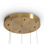 Подвесной светильник Flower FR5579PL-L40BS, LED. TM Maytoni