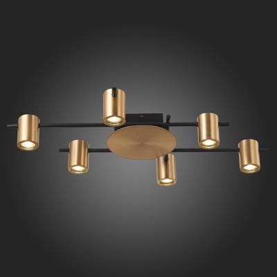 SL1207.402.06 Светильник потолочный ST-Luce Черный/Латунь GU10 6*7W