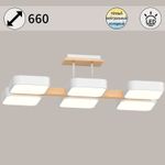 03359-0.3-06 WH+WOOD светильник потолочный