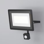Прожектор Flood 6500К 50Вт IP 65, FL001-L50B6KSR. TM Maytoni