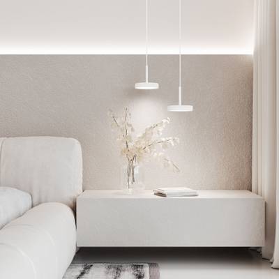 Подвесной светильник Plate 14W 4000K белый 50260 LED