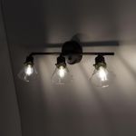 Citilux Трек Бисмарк CL564531 Спот с выключателем Венге