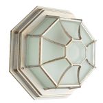 Уличный потолочный светильник Arte Lamp PEGASUS A3121PF-1WG, 1хE27